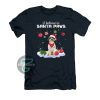 Lagotto Romagnolo i believe in Santa paws Christmas T-Shirt